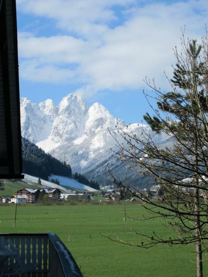 14 Edelweiss Appartement *