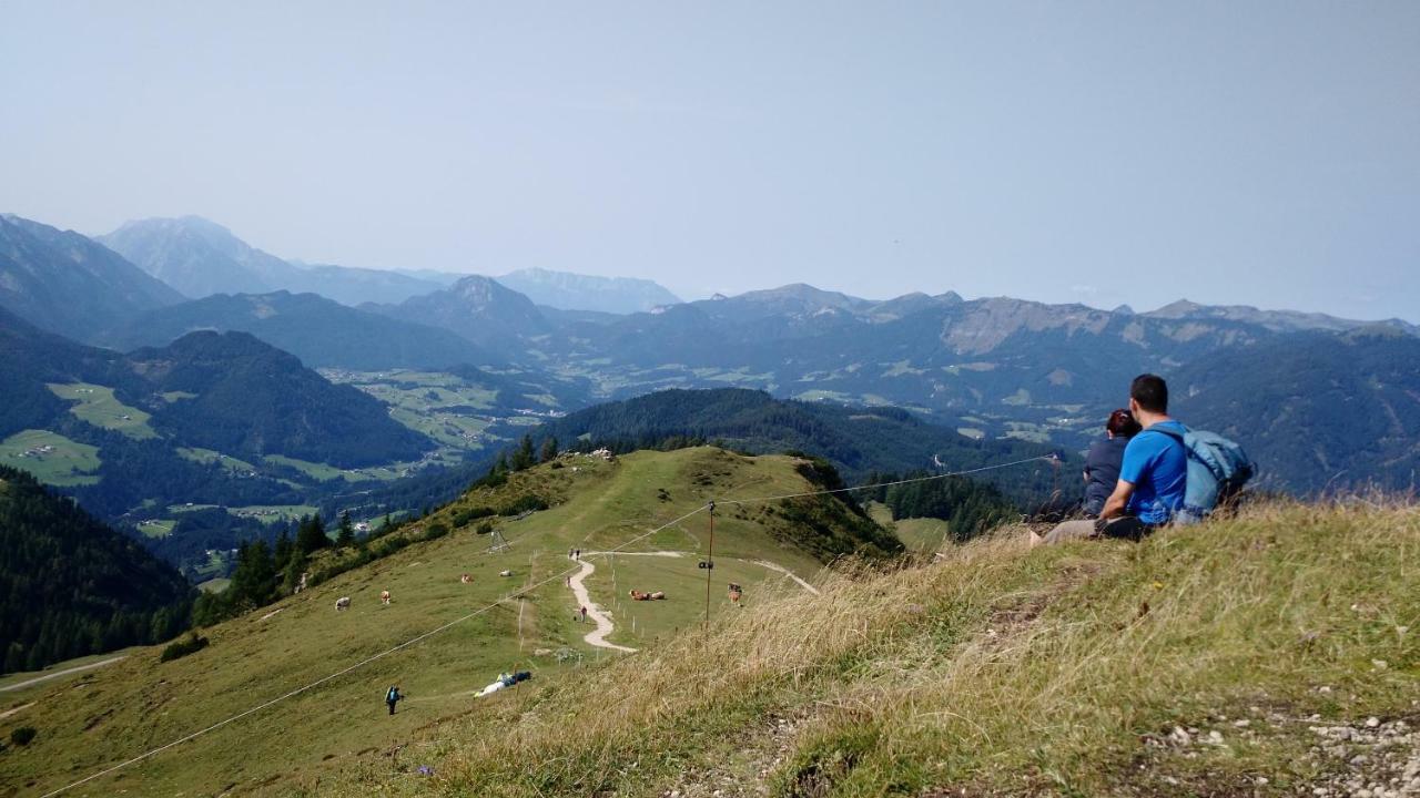 14 Edelweiss Appartement Gosau